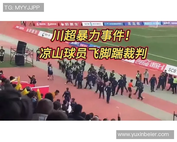 球员赛后怒怼裁判，或将面临追加处罚